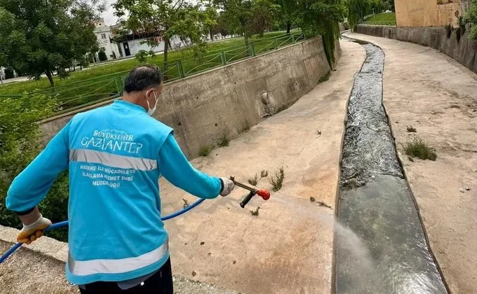 Gaziantep Büyükşehir, ilaçlama çalışmalarını arttırdı