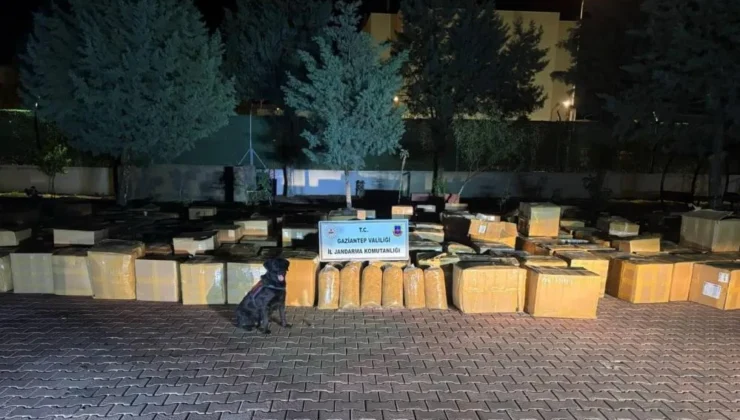 Gaziantep’te 7 ton kaçak tütün ele geçirildi: 1 gözaltı