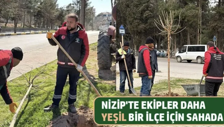 Nizip’te ekipler daha yeşil bir ilçe için sahada