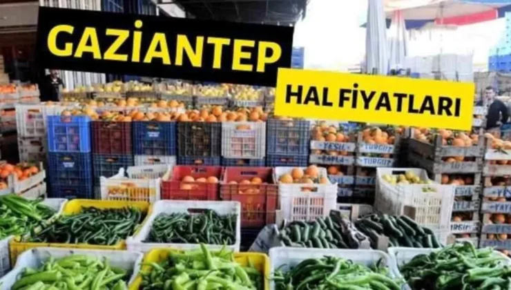 Gaziantep’te sebze fiyatları alev aldı! Patlıcan ve Fasulye…