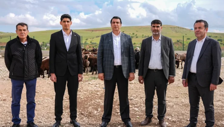 Başkan Yılmaz Kurbanlık Fiyatlarını Duyurdu