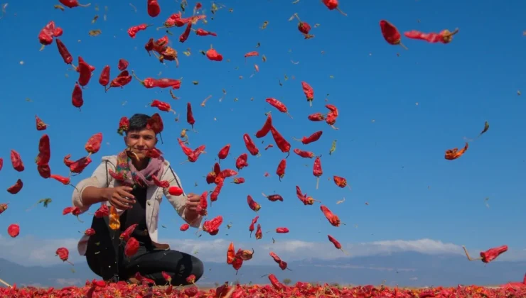 GTB’den iki ayrı fotoğraf yarışması